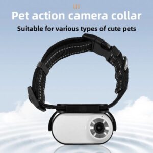 Verstellbares geflochtenes Hundehalsband