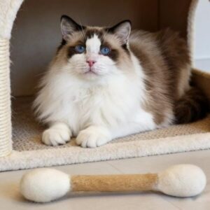 Katzenspielzeug aus reinem Wollfilz