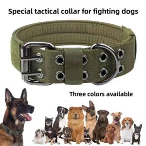 Hundehalsband mit Leine für verschiedene Rassen