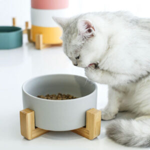 Katzennapf