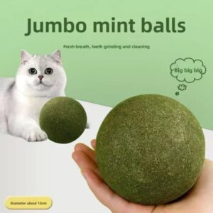 Katzenminzeball