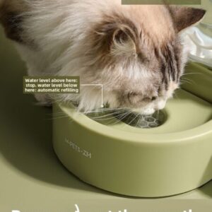 Schneckenförmiger Katzennapf für Wasser und Futter