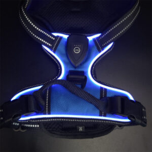 USB-LED-beleuchtetes Hundegeschirr mit Leine