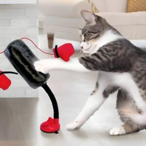 Katzenboxhandschuhe mit Saugnapf-Rückseite