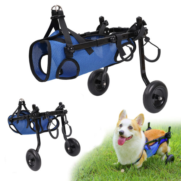 Gehhilfewagen für die Hunde-Rehabilitation – Bild 2