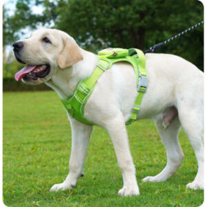 Verstellbares Hundegeschirr mit Leine