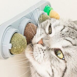 Katzenminzeball- Beißspielzeug für Katzen