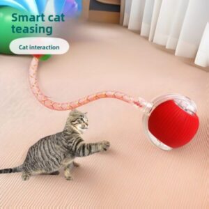 Automatischer Katzen-Spielball