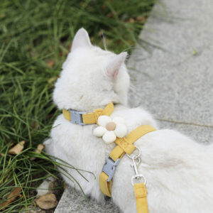 Verstellbare Katzen- und Hundeleine mit Ausbruchsicherung