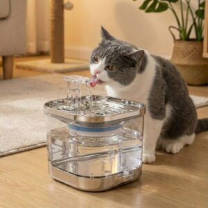 Kabelloser intelligenter Wasserspender mit Filterung für Katzen