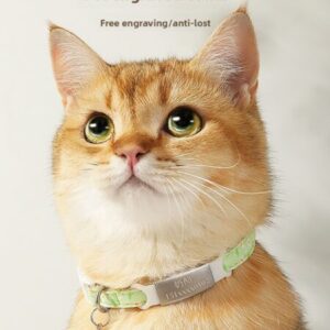 Katzenhalsband mit Gravur