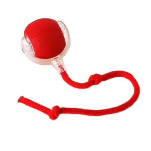 Interaktive Katzenball mit Sound
