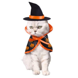 Halloween-Kostüm für Haustiere Umhang und Hut
