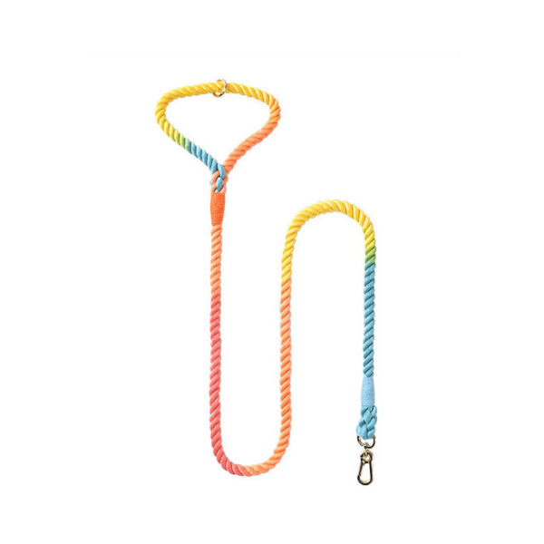 Geflochtene Hundeleine und Halsband – Bild 5