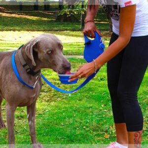 Leichte  einziehbare Leine für kleine Hunde