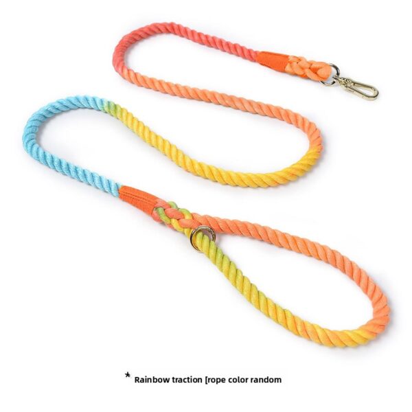 Geflochtene Hundeleine und Halsband – Bild 4