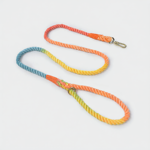 Geflochtene Hundeleine und Halsband