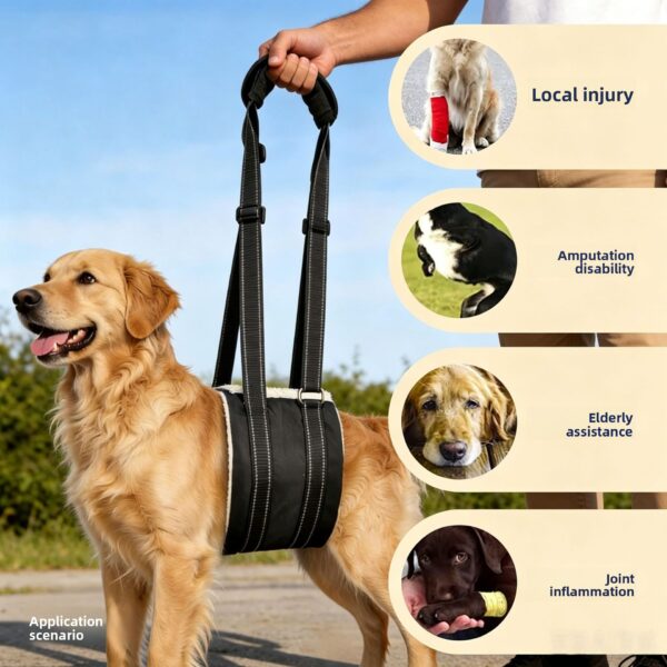 Hinterbein-Stützgeschirr für Hunde mit Verletzungen – Bild 4
