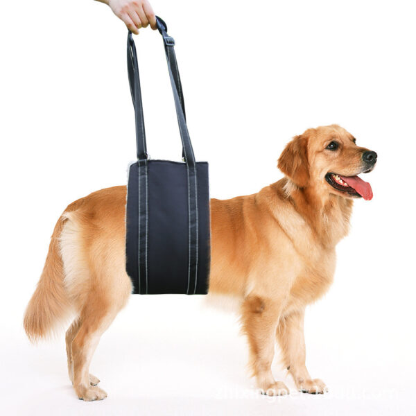 Hinterbein-Stützgeschirr für Hunde mit Verletzungen – Bild 5