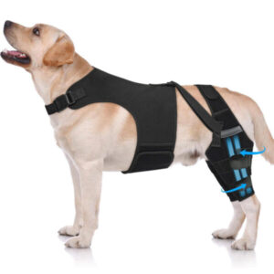 Fußschutzausrüstung für Hunde