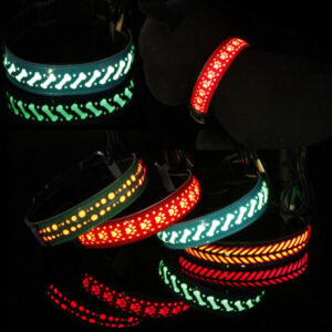 LED-Halsband für Haustiere