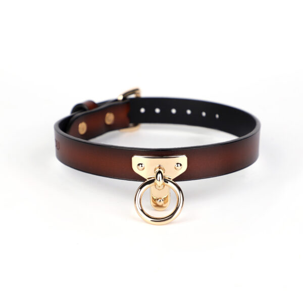 Verstellbares Hundehalsband aus Leder