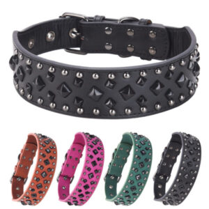 Hundehalsband aus Leder - schwarz