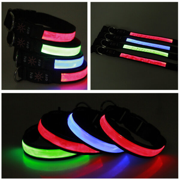 Haustierhalsband mit mehreren Lichtmodi – Bild 2