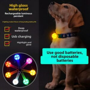 Wiederaufladbarer LED-Haustieranhänger mit USB-Anschluss