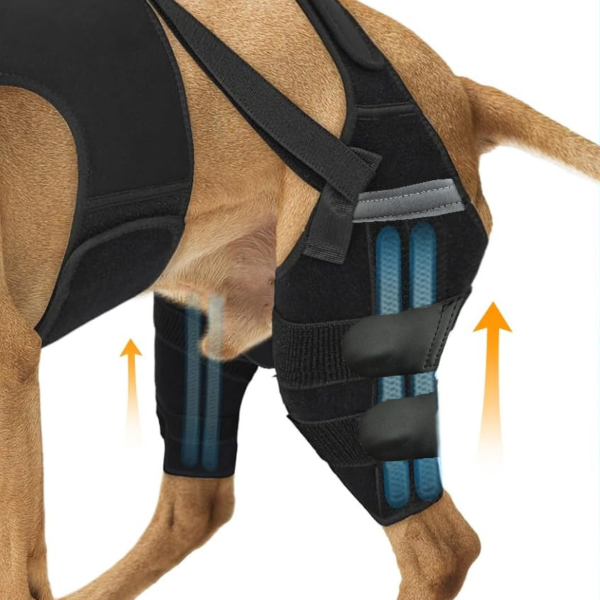 Fußschutzausrüstung für Hunde – Bild 3
