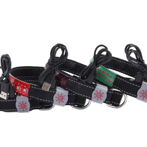 LED-Halsband für Haustiere – Bild 5