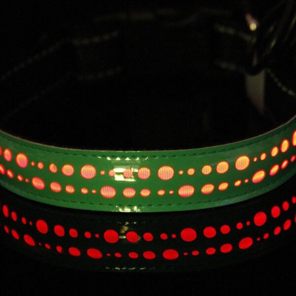 LED-Halsband für Haustiere – Bild 2