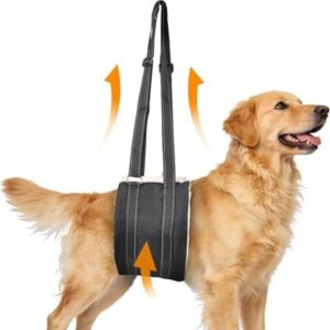 Hinterbein-Stützgeschirr für Hunde mit Verletzungen
