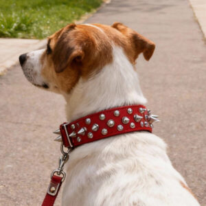 Taktisches Stachelhalsband für Hunde