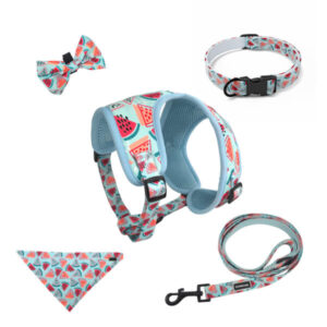 Sommerliches Wassermelonen-Hundegeschirr-Set