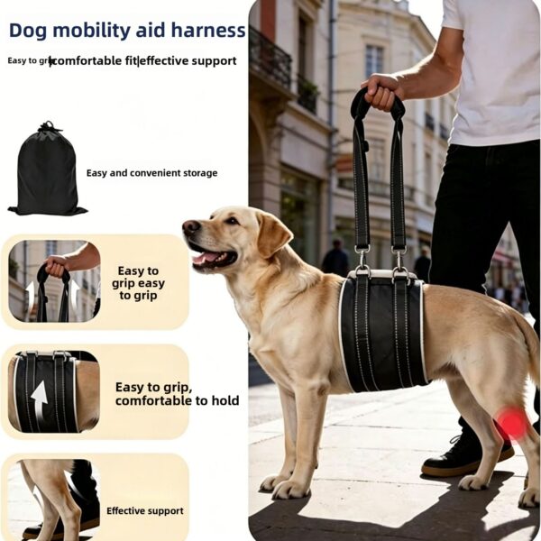 Hinterbein-Stützgeschirr für Hunde mit Verletzungen – Bild 2