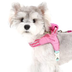 Verstellbares Hundegeschirr mit weichem Griff