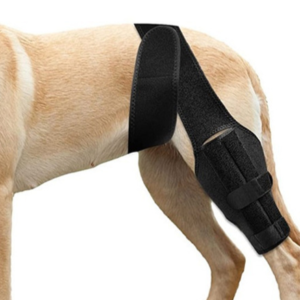 Hinterpfotenschützer für Hunde
