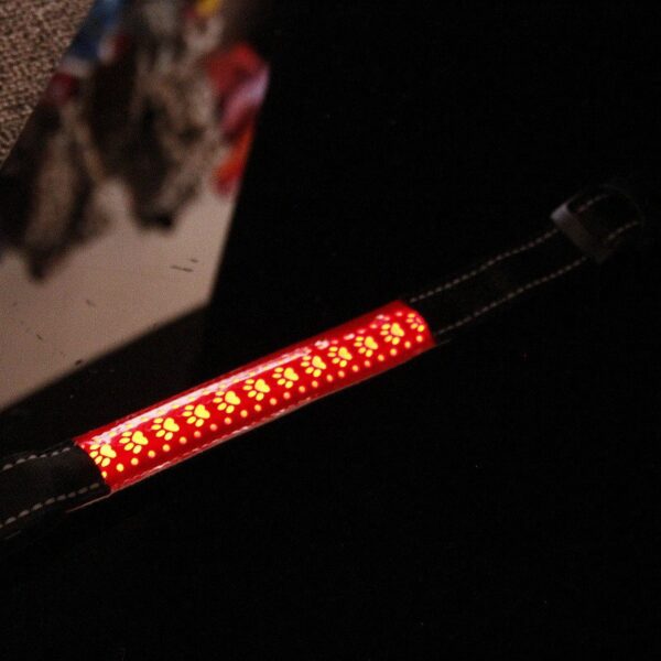 LED-Halsband für Haustiere – Bild 4