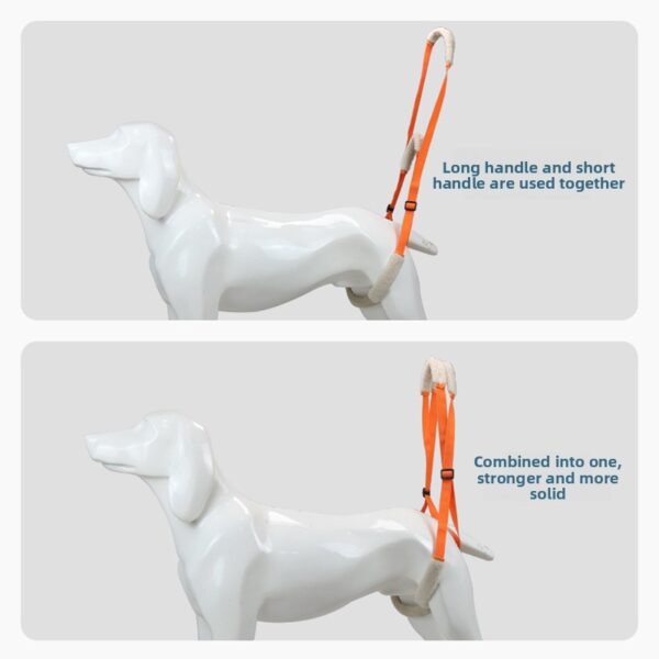 Rehabilitationsgürtel für behinderte Hunde – Bild 2