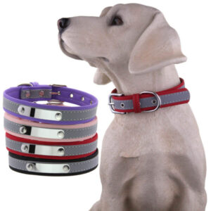 Reflektierendes graviertes Edelstahl Halsband mit Leine
