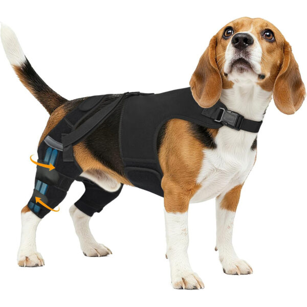 Fußschutzausrüstung für Hunde – Bild 4