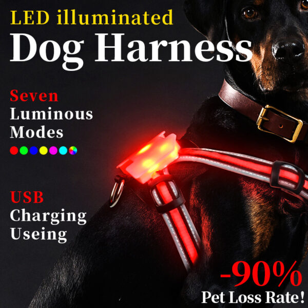 Reflektierendes Hundegeschirr – Bild 2