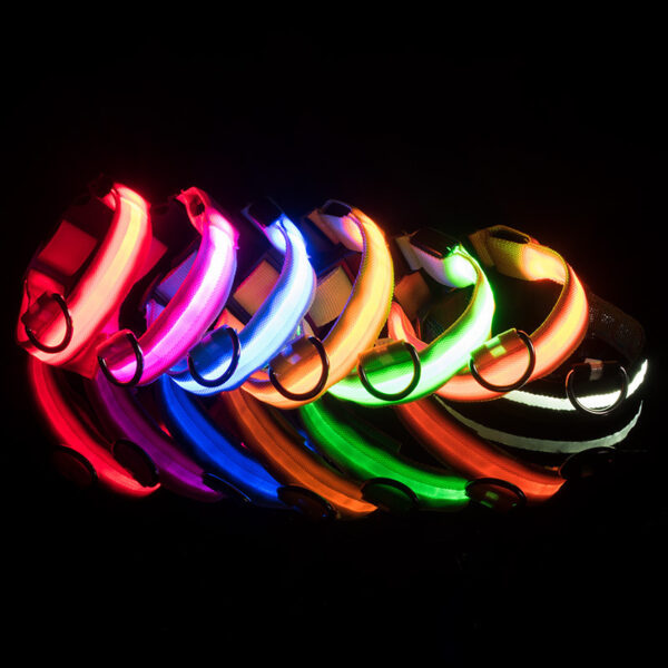 Verstellbares LED-Hundehalsband mit USB-Ladegerät – Bild 2