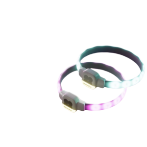 Leuchtendes Hundehalsband